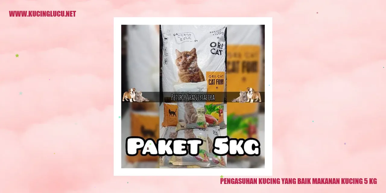 Makanan Kucing 5 kg