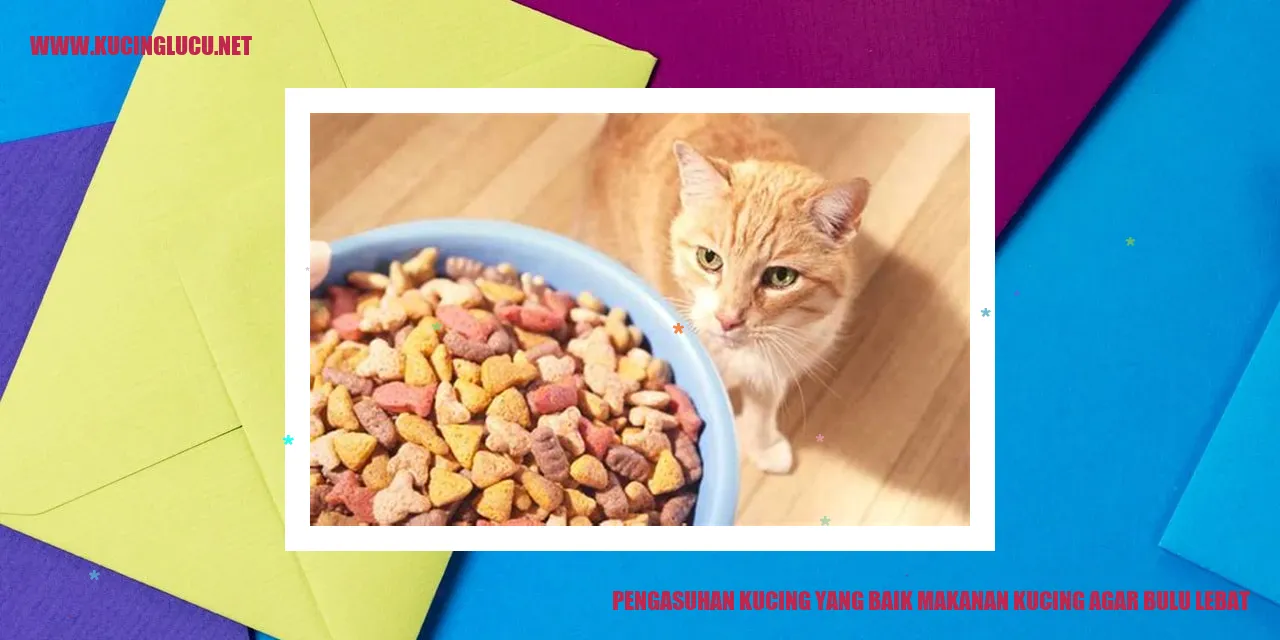 Kucing dengan bulu lebat