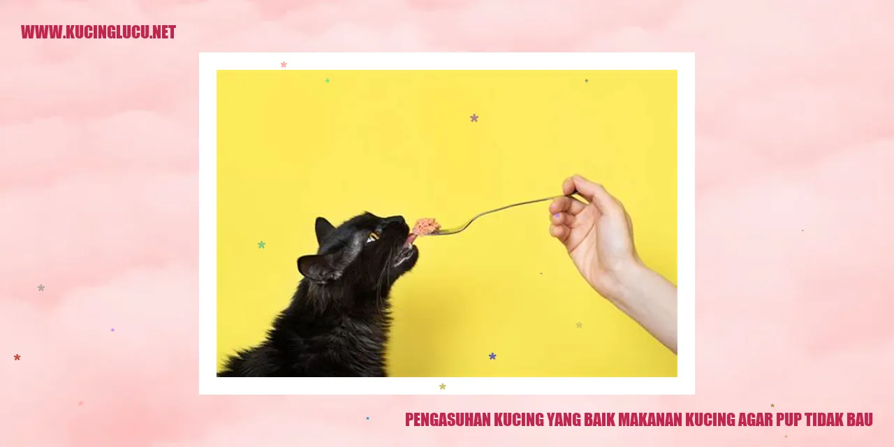Kucing dan Makanannya