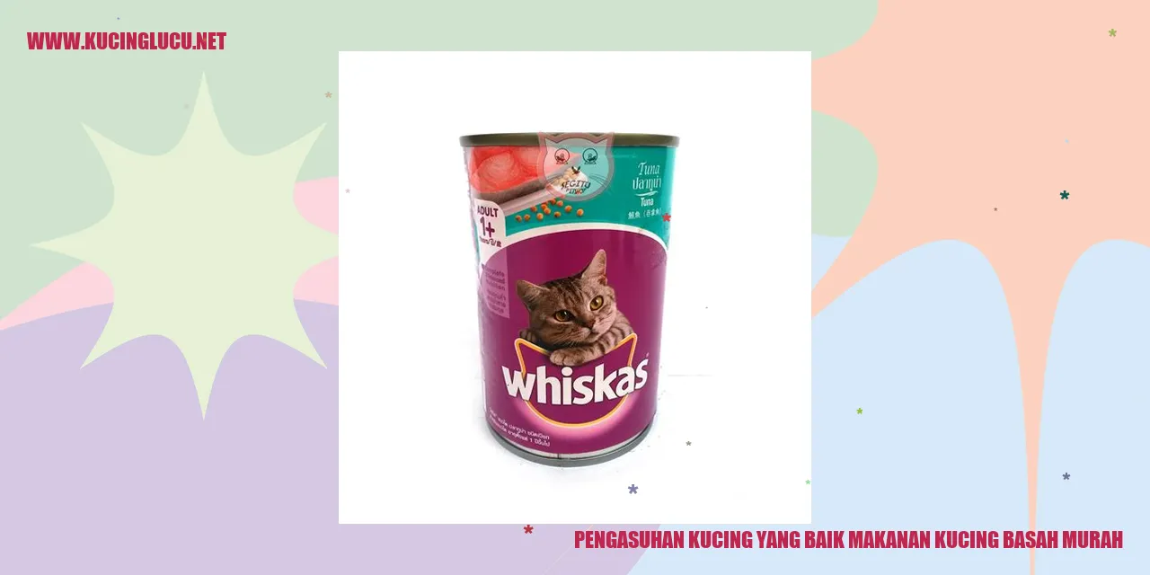 Gambar Kucing