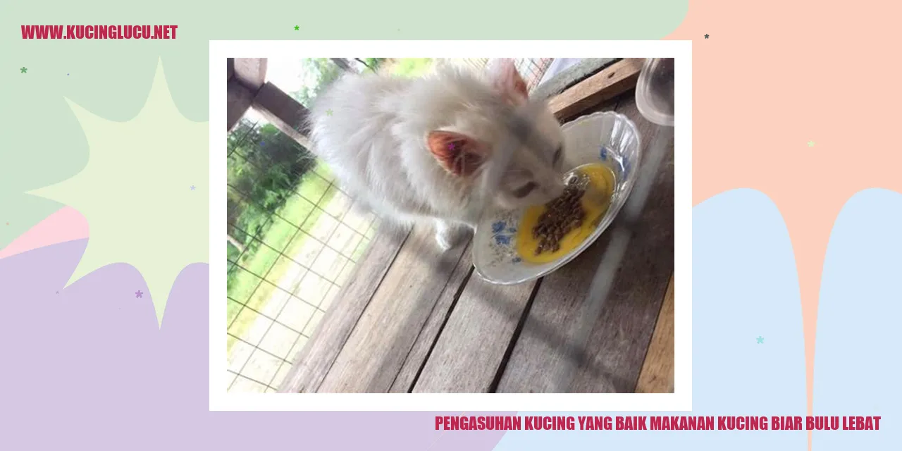 Kucing dengan bulu lebat