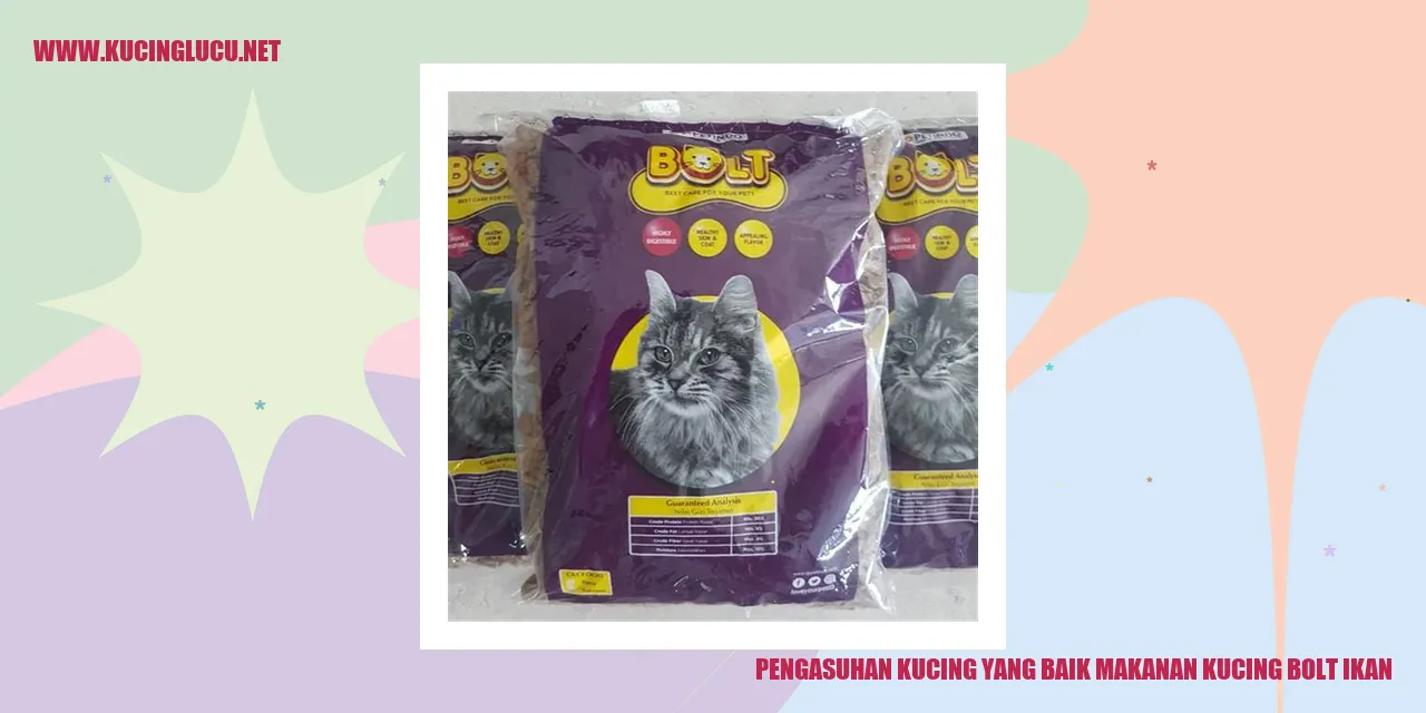 Gambar kucing sehat dan bahagia