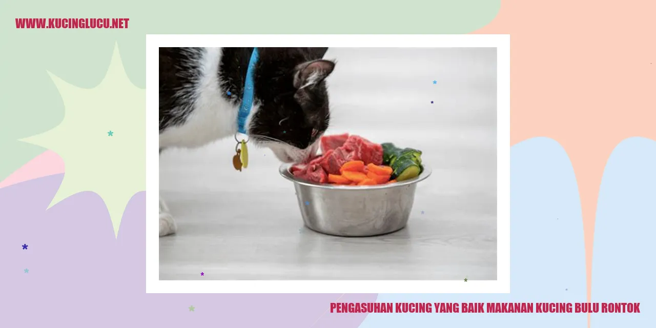 Kucing dengan bulu rontok