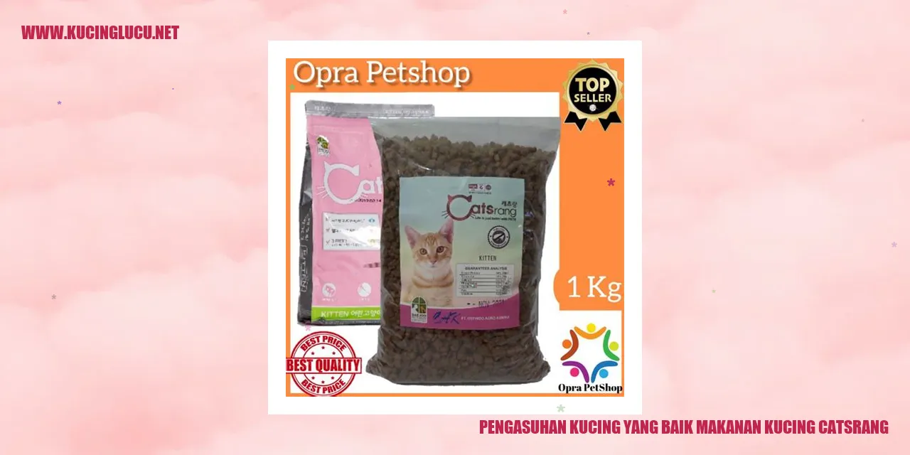 Kucing Menikmati Makanan Catsrang