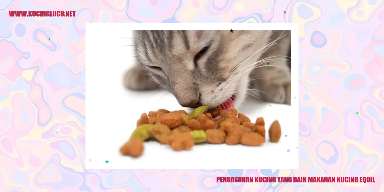 Kucing Sehat dan Bahagia