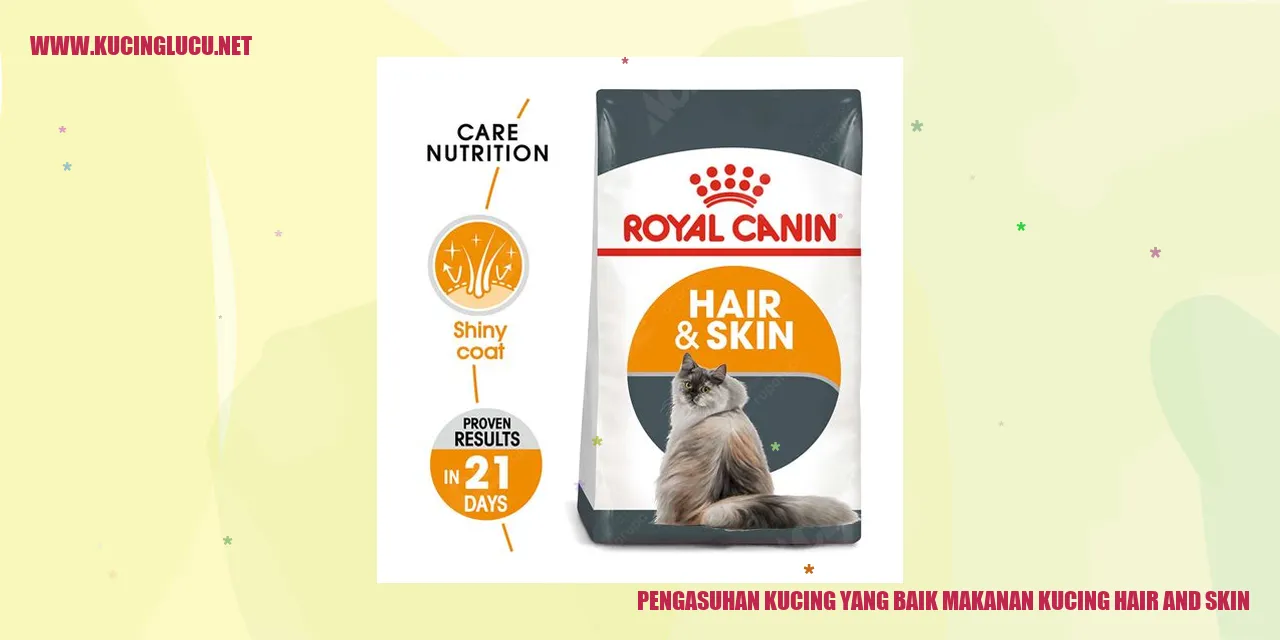 Kucing yang sehat dengan bulu yang indah dan kulit yang sehat