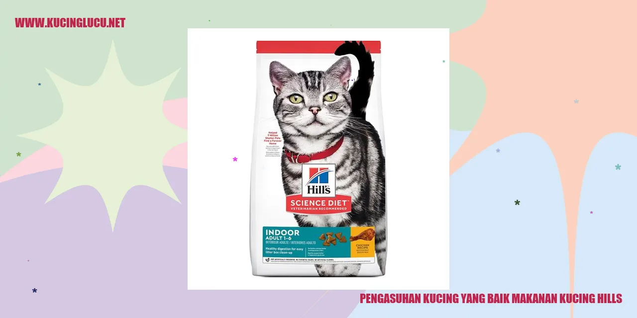 Kucing Sehat dengan Makanan Kucing Hills