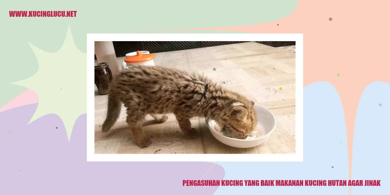 Kucing Lucu