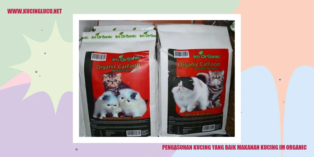 Pengasuhan Kucing yang Baik