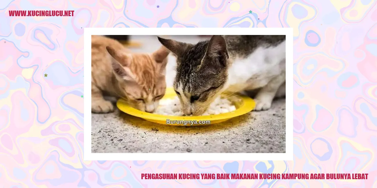 Gambar kucing