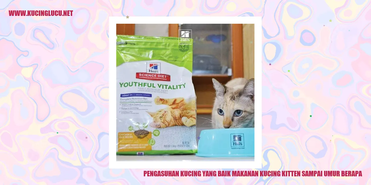 Kucing Makanan Kitten
