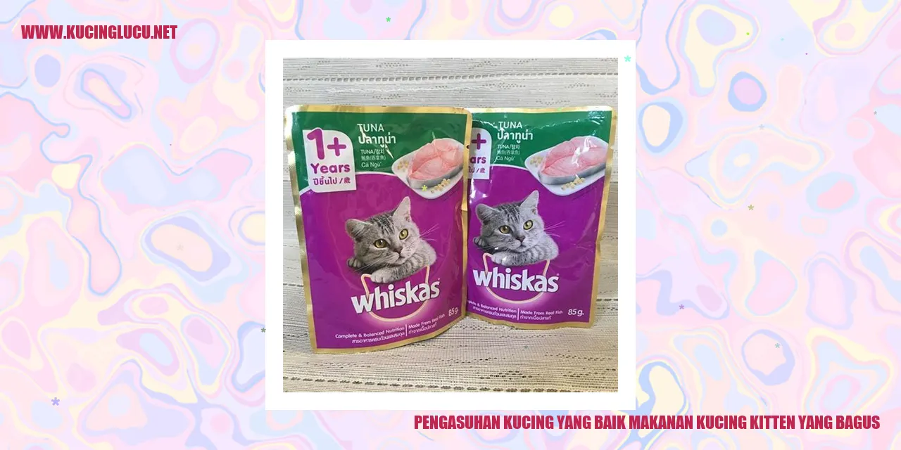 Makanan Kucing Kitten yang Bagus
