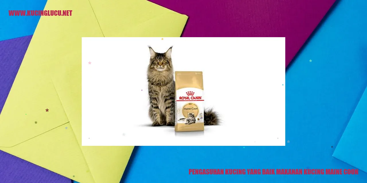 Perawatan Kucing Maine Coon
