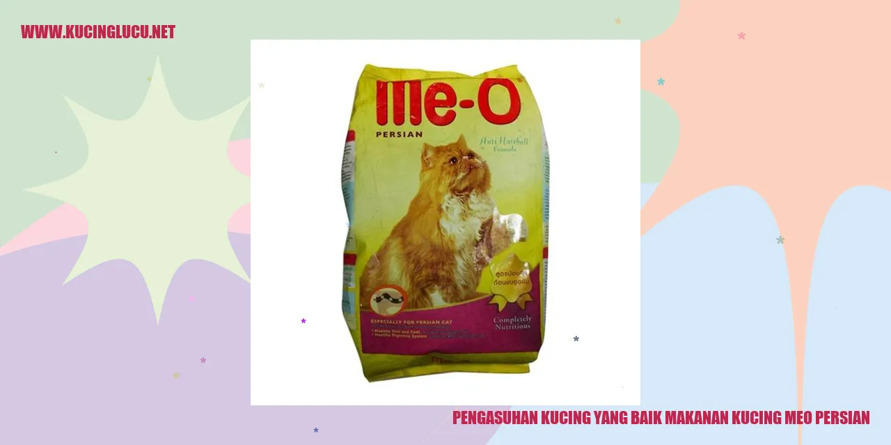 kucing meo persian