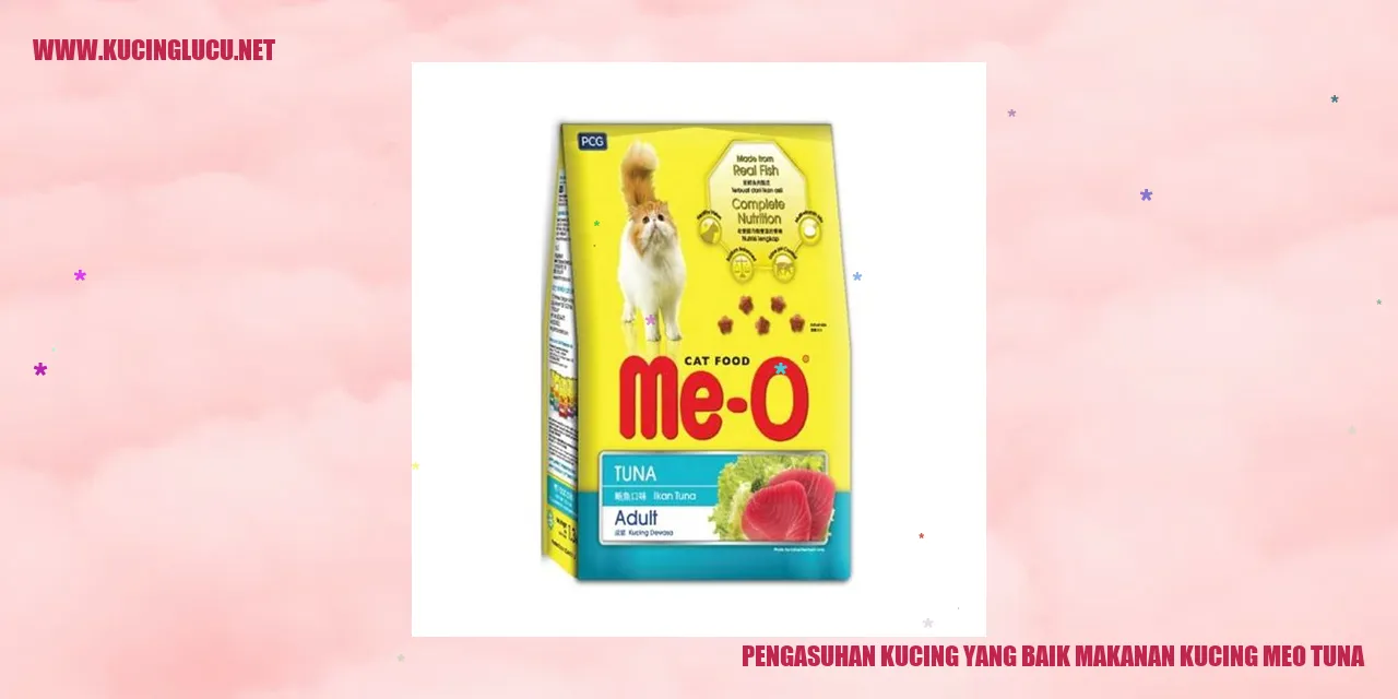 Gambar kucing makan Meo Tuna