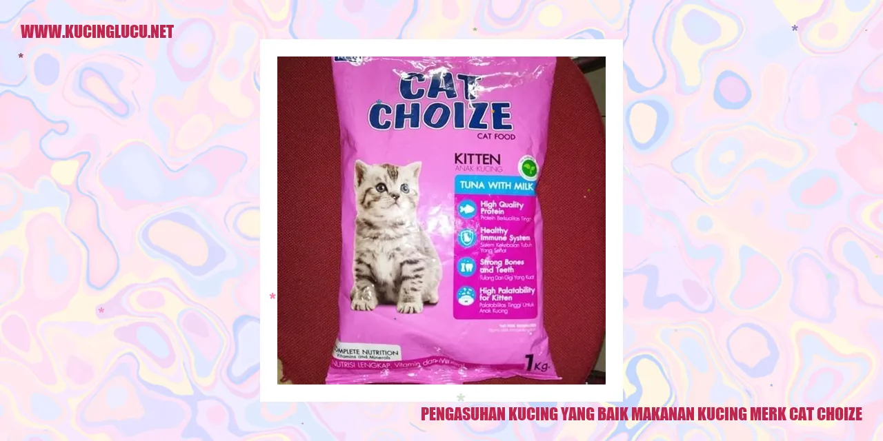 makanan kucing cat choize