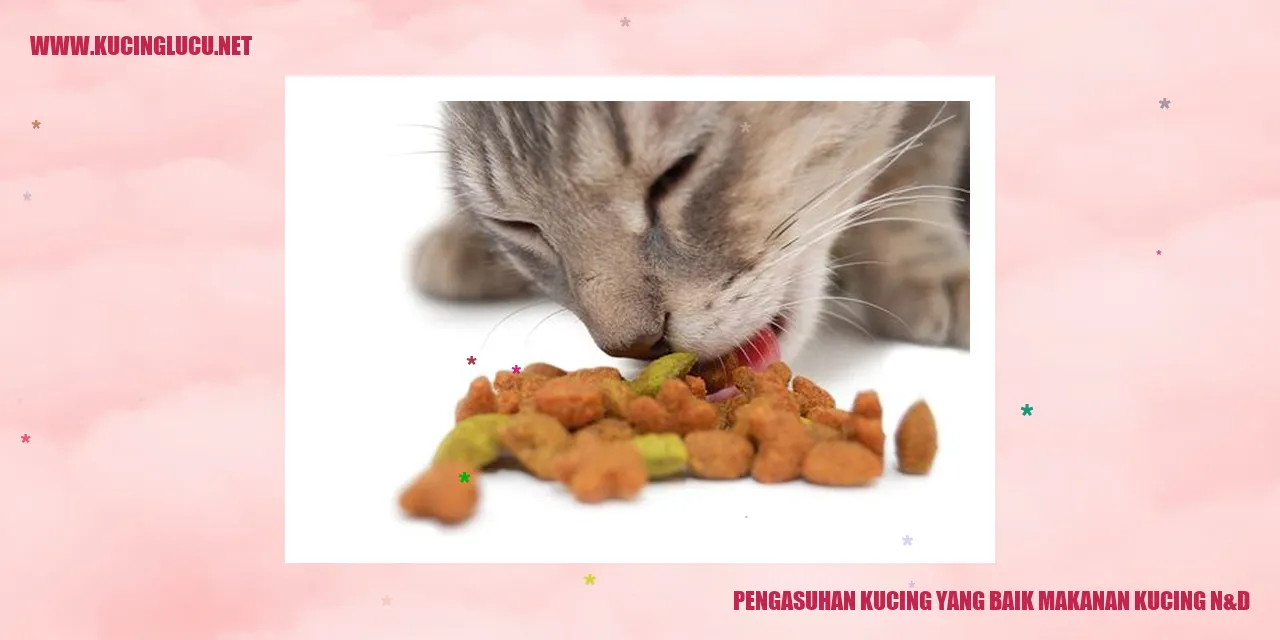 Kucing yang sehat