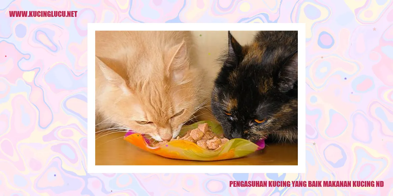 Pengasuhan Kucing yang Baik