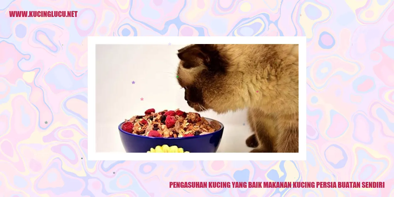 foto kucing persia