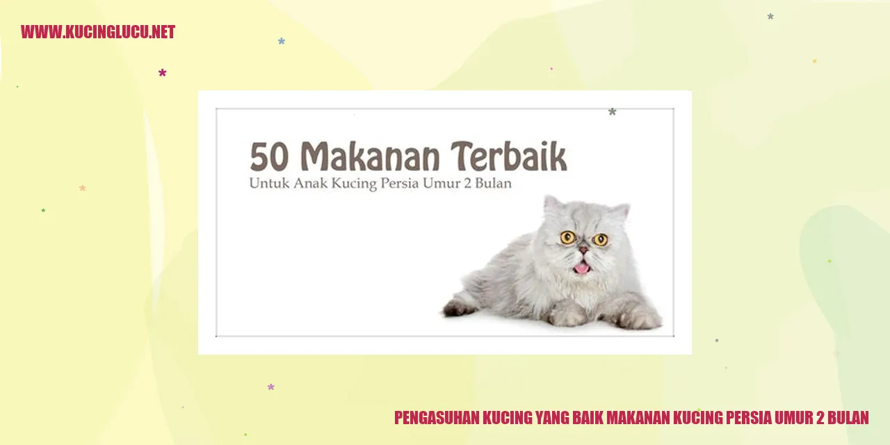 Kucing Persia Usia 2 Bulan