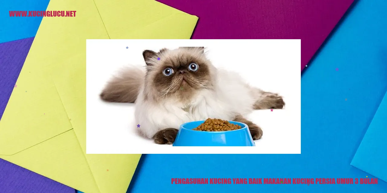 Kucing Persia