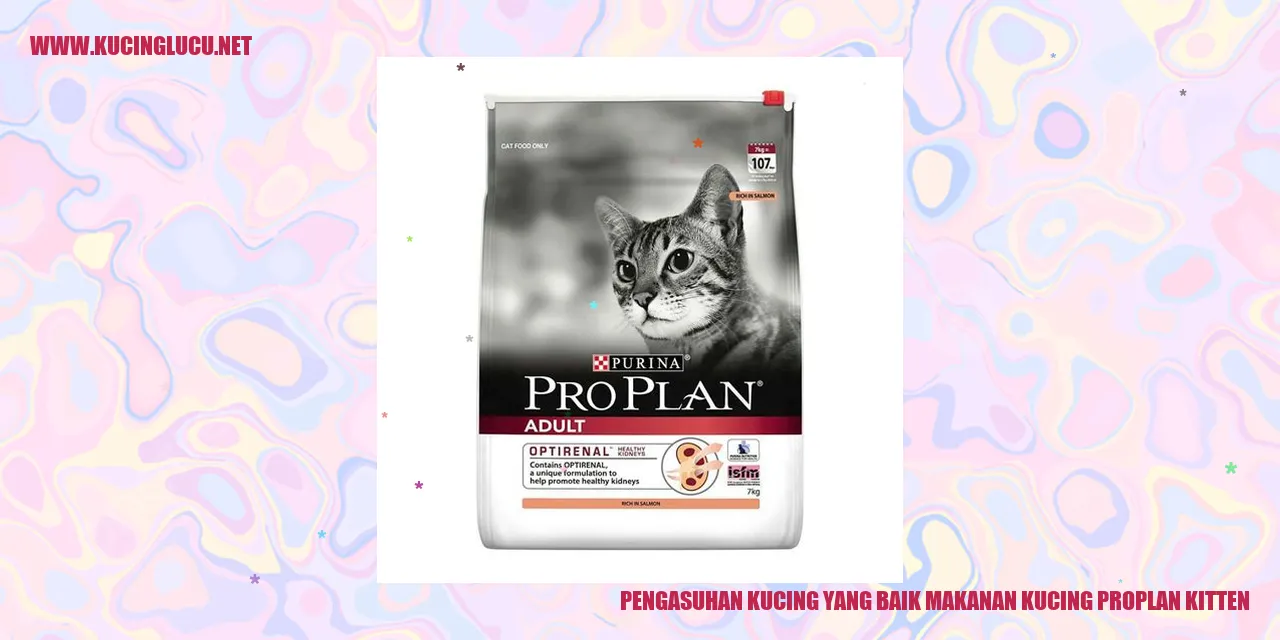 Gambar Kucing Kesehatan