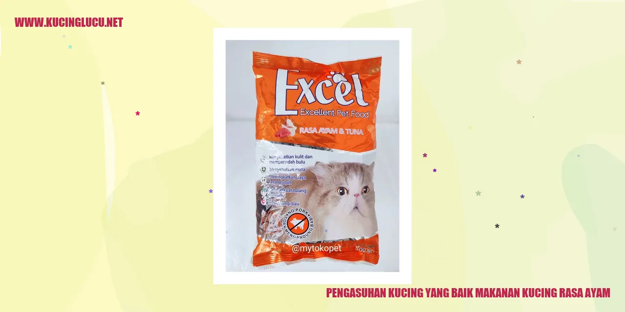 Kucing dengan makanan rasa ayam