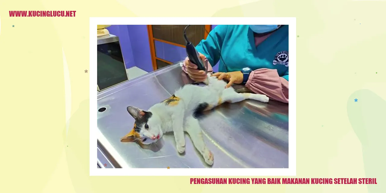 Kucing Makanan Steril