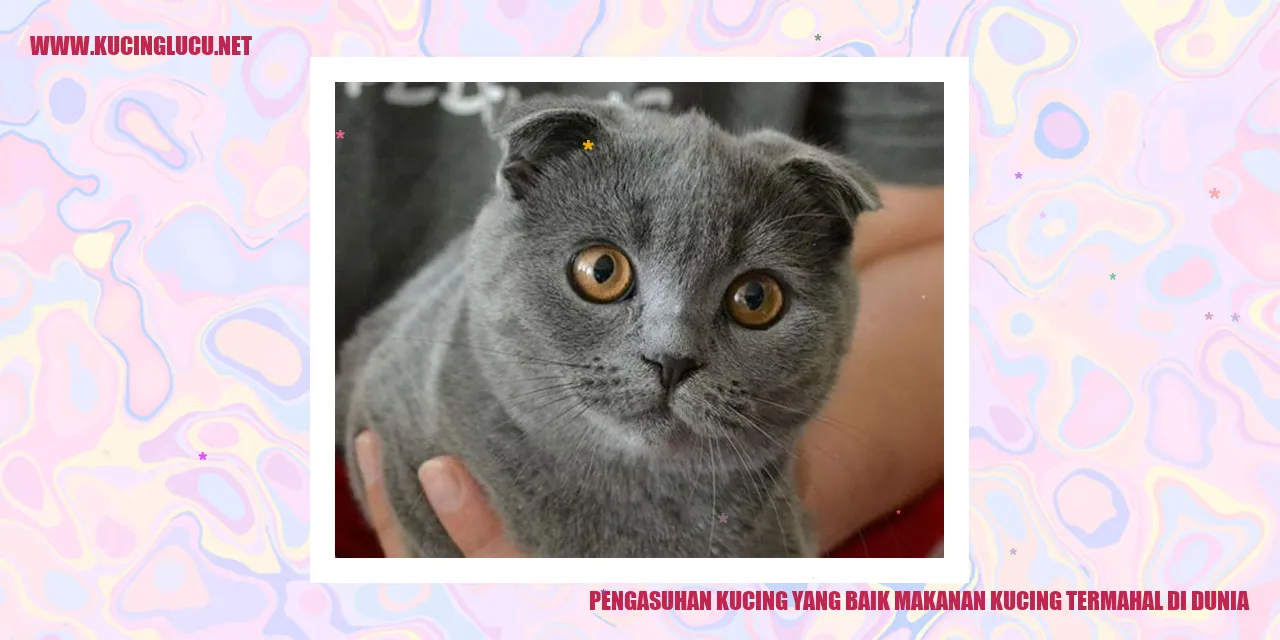 Makanan Kucing Termahal di Dunia