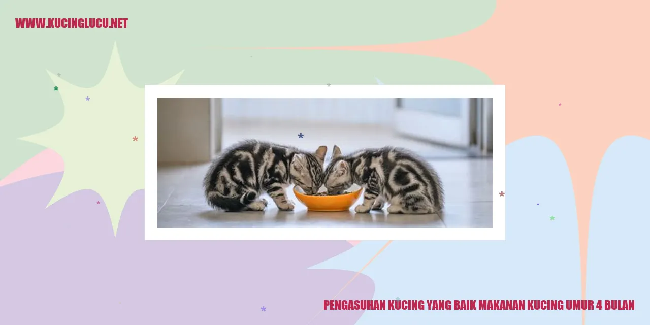 Kucing makanan umur 4 bulan