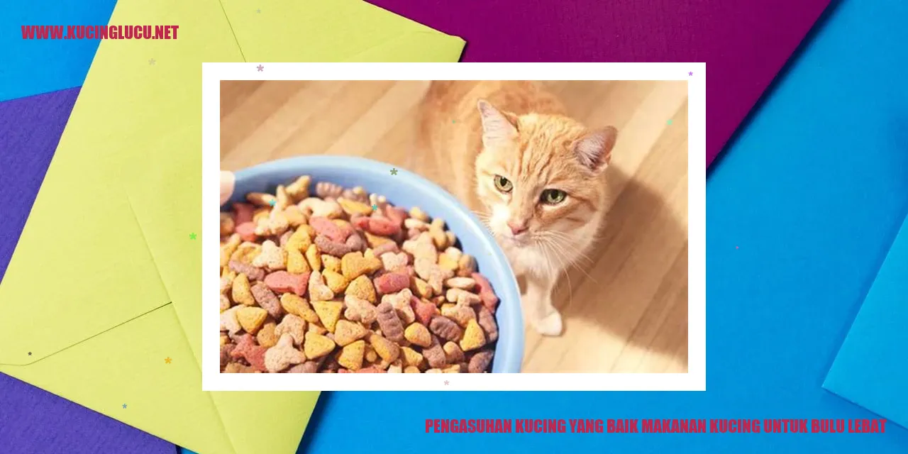 Kucing Dengan Bulu Lebat