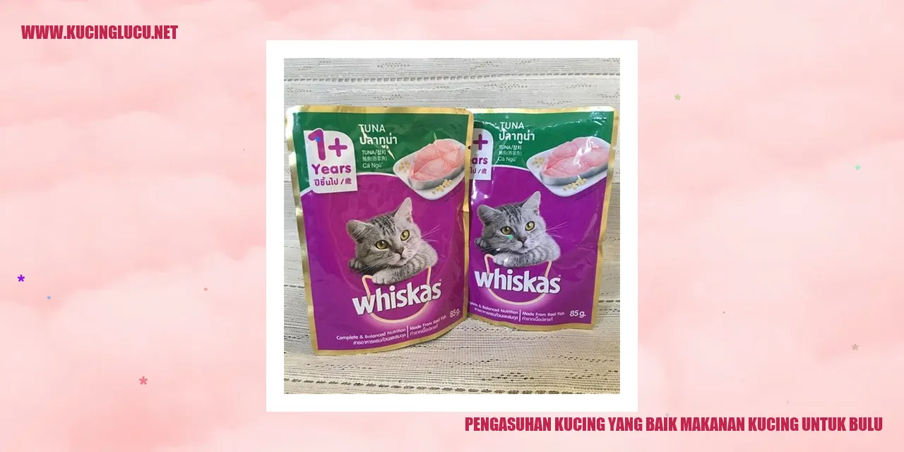 Gambar kucing dengan bulu yang sehat