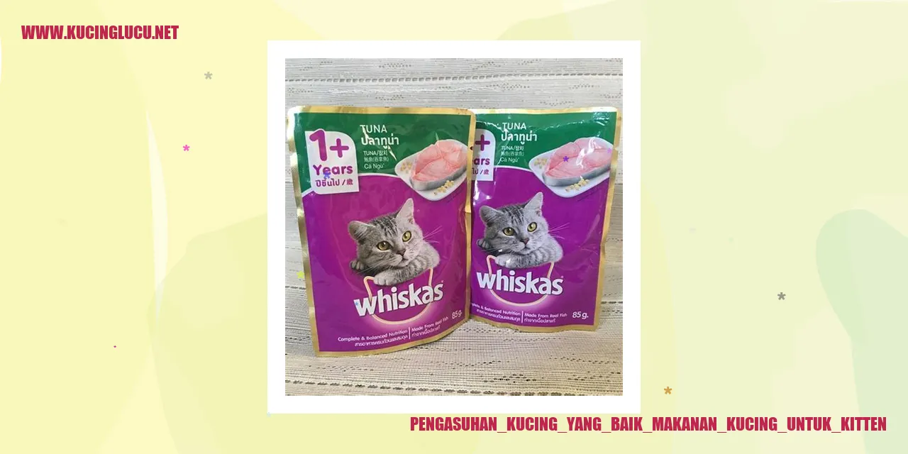 Makanan Kucing untuk Kitten