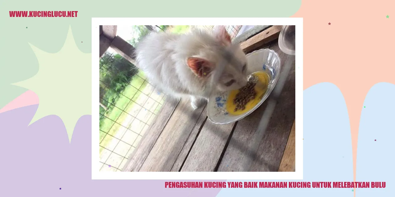 Gambar Kucing