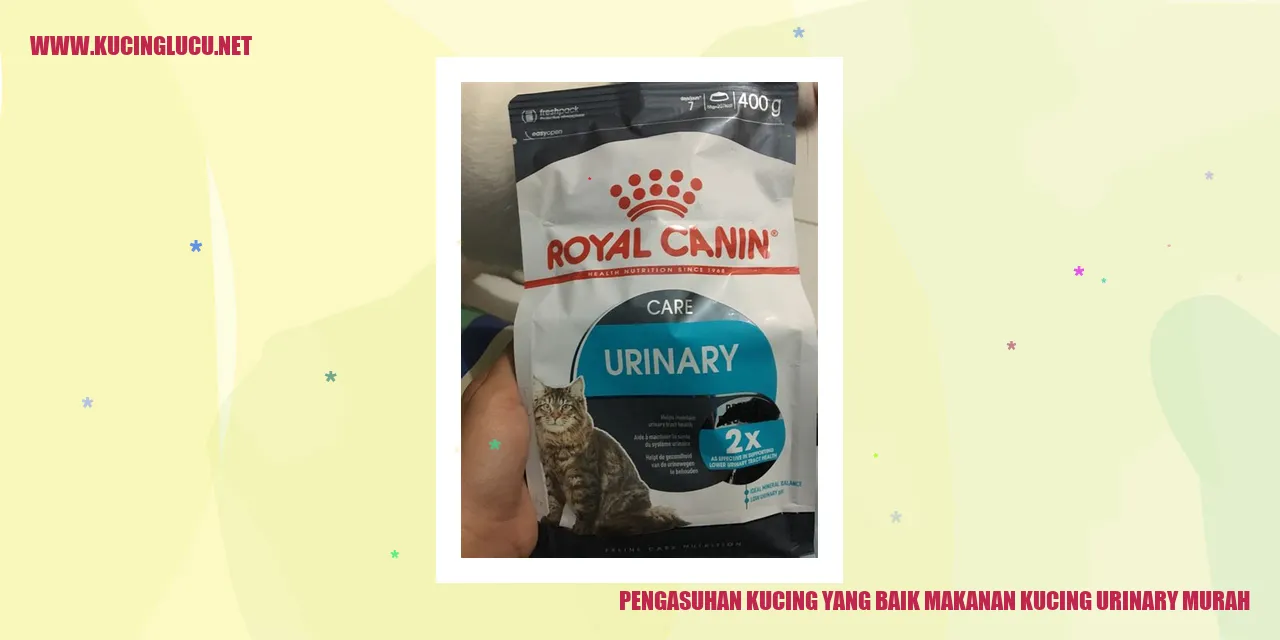 Pengasuhan Kucing yang Baik dengan Makanan Kucing Urinary Murah