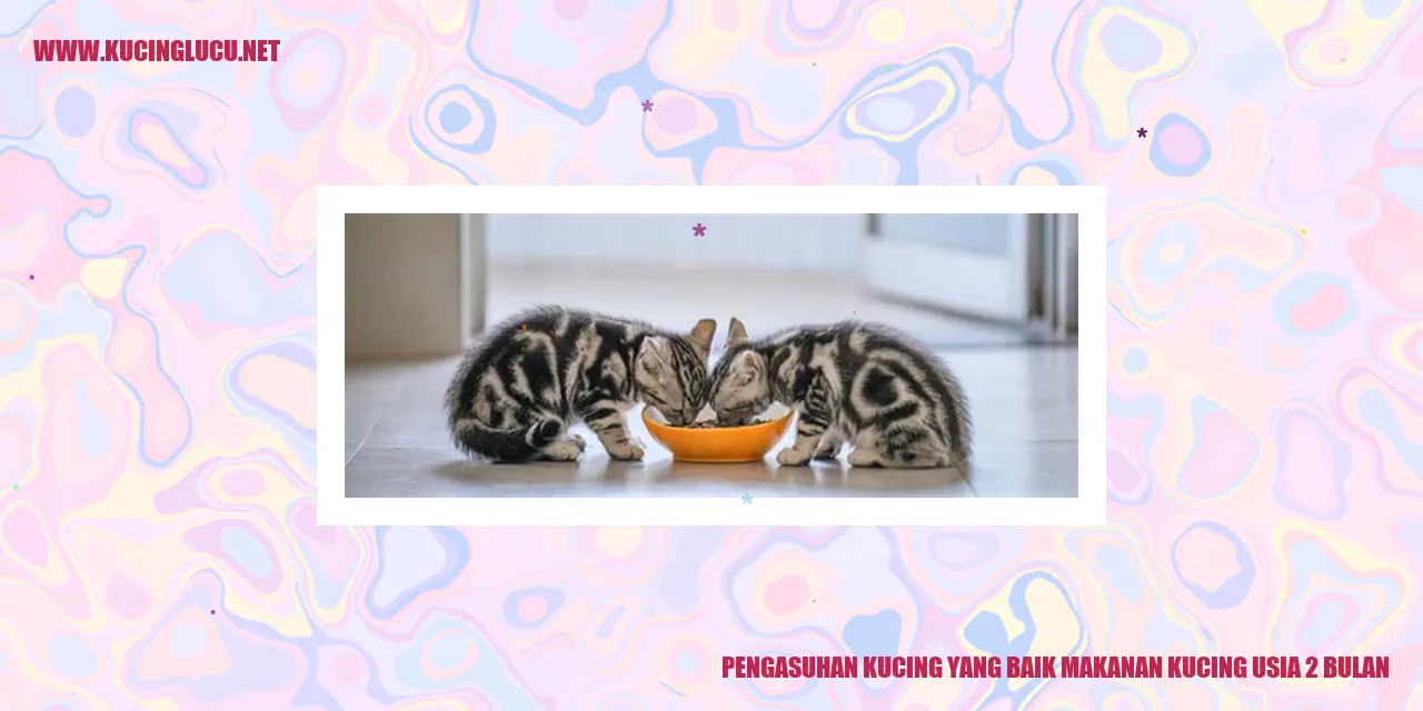 Kucing Sehat