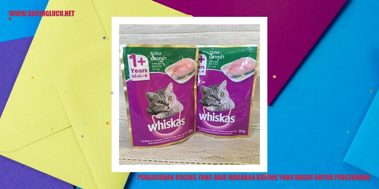 Makanan Kucing yang Sehat