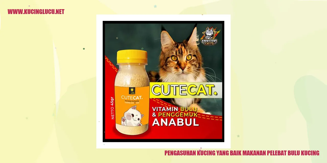 Kucing dengan bulu yang sehat dan indah