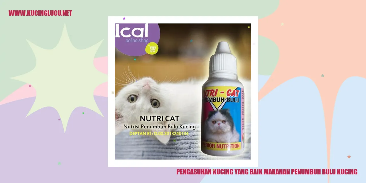 Kucing dengan bulu yang sehat dan indah