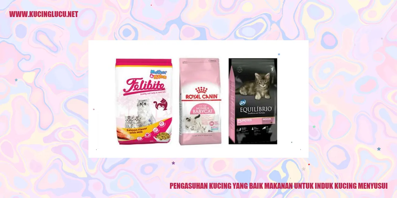 Induk kucing menyusui