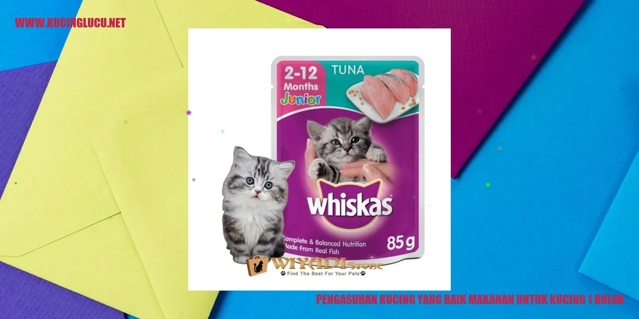 Pengasuhan Kucing yang Baik