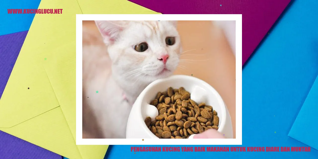 Gambar kucing yang sehat