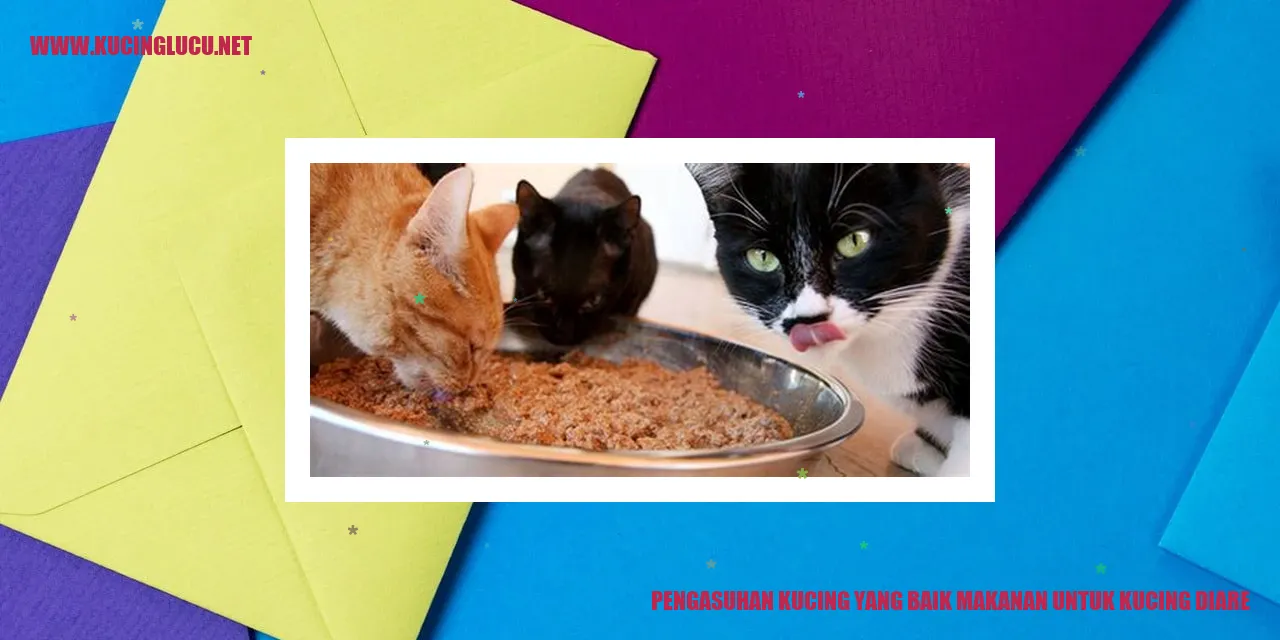 Pengasuhan Kucing yang Baik makanan untuk kucing diare
