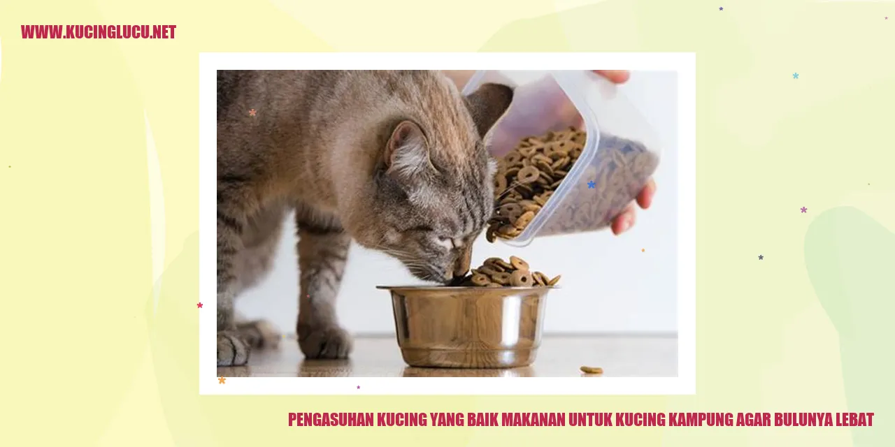 Kucing dengan Bulu Lebat