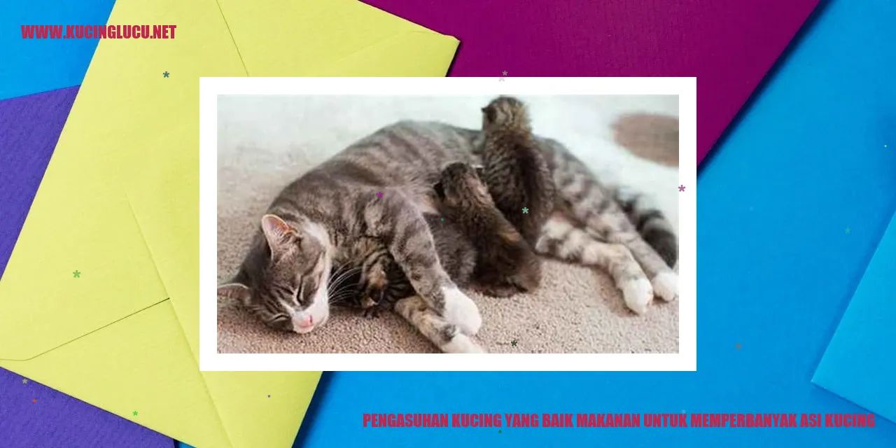 Kucing sehat