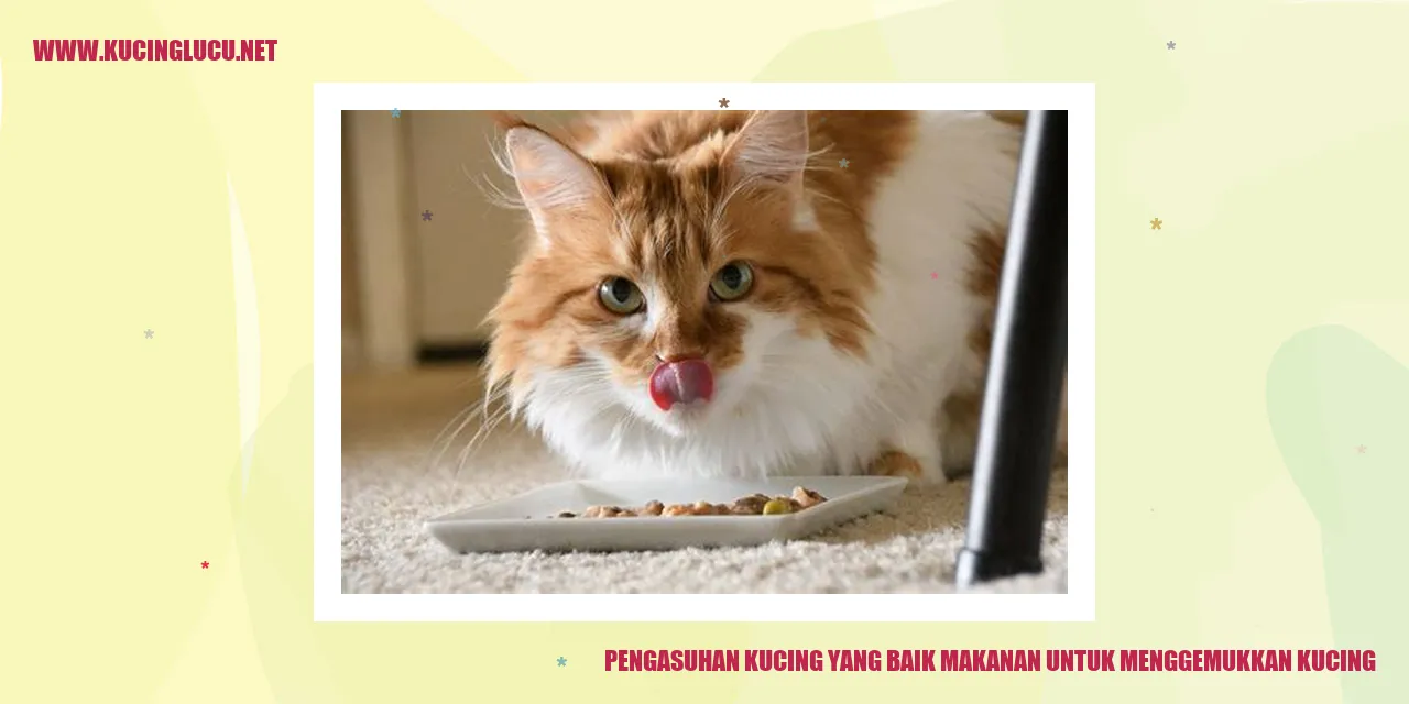 Gambar kucing yang sehat dan gemuk