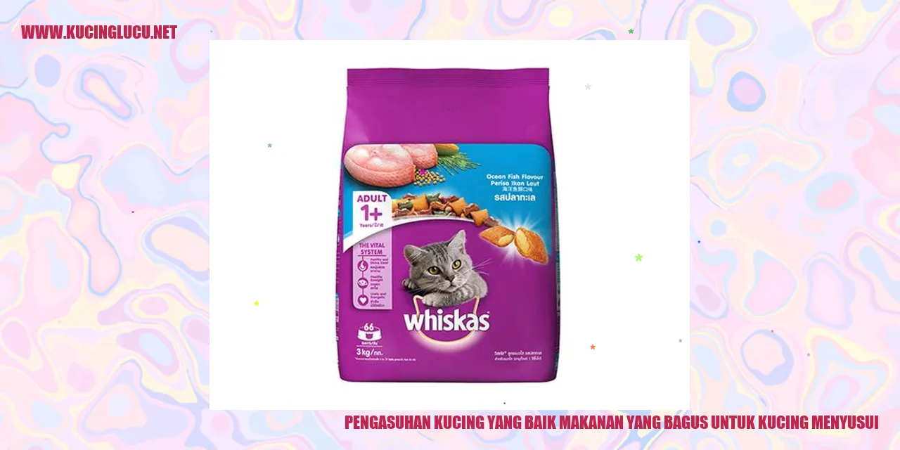 Kucing Menyusui