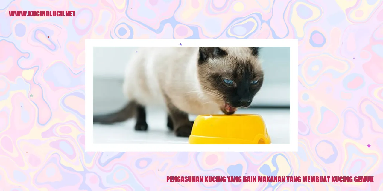 Kucing yang Gemuk