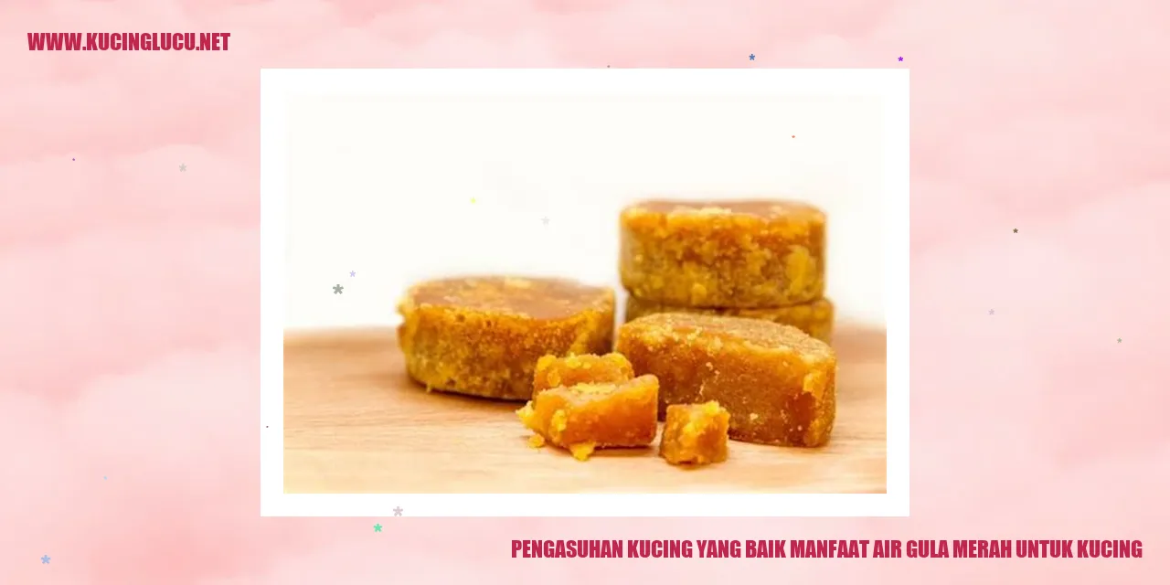 Manfaat Air Gula Merah untuk Kucing