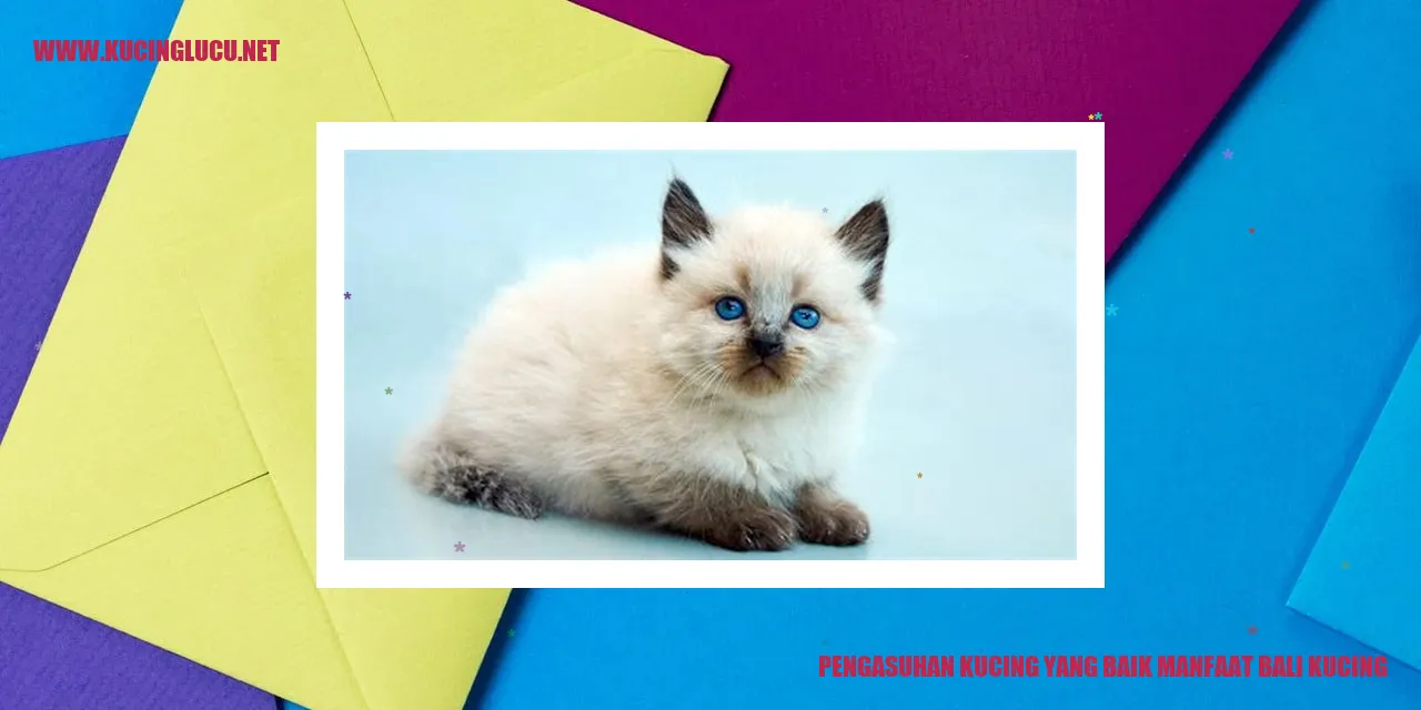 Kucing Menggemaskan